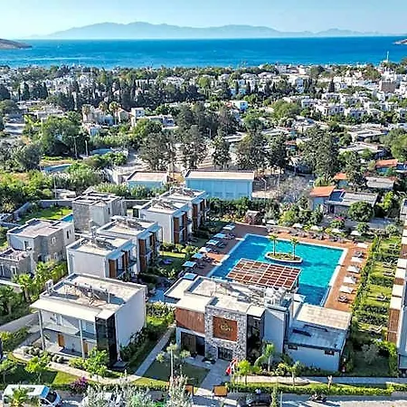 Celeste Bella Luxury &